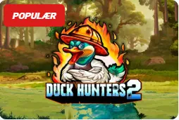 Duck Hunters 2
